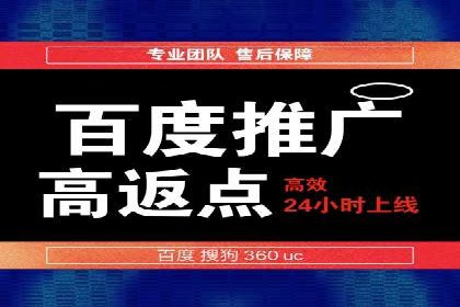 实战解析：百度竞价排名服务成功案例